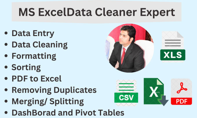 Gig Preview - Data cleaning, data analysis, data entry, and data visualization on ms excel