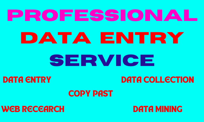 Gig Preview - Do accurate data entry copy paste web research and excel data entry