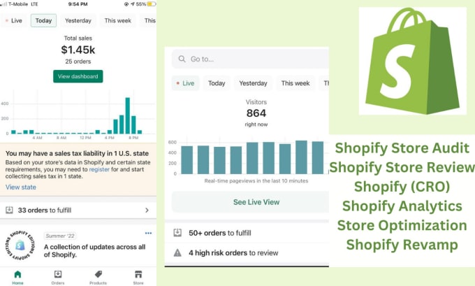 Gig Preview - Do shopify store audit shopify store review do shopify cro shopify analytics