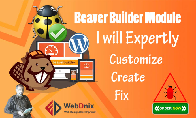 Gig Preview - Fix, customize, and create a beaver builder module