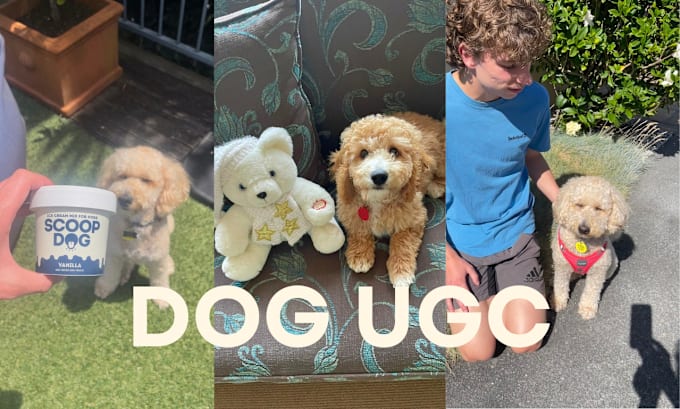 Gig Preview - Create dog ugc video with me and my dog for your pet brand