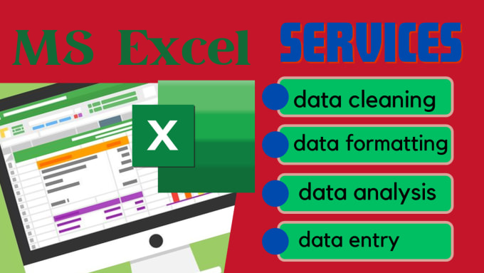 Bestseller - do excel data cleaning, formatting, analysis and data entry