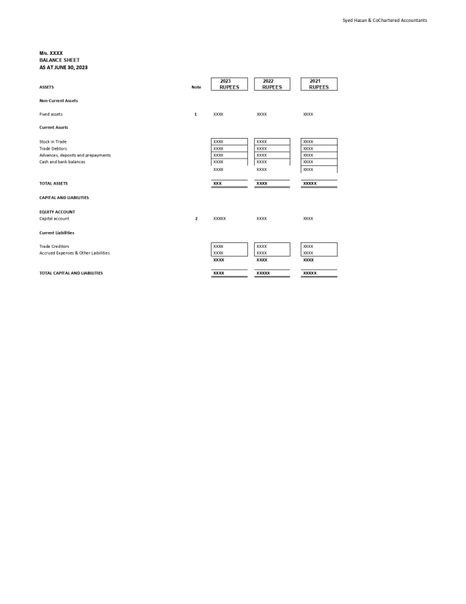 Gig Preview - Provide efficient and swift services of finance related matters, result oriented