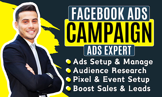 Gig Preview - Setup and manage your facebook ads campaign