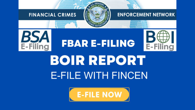 Gig Preview - Prepare and efile boi report fbar report with fincen