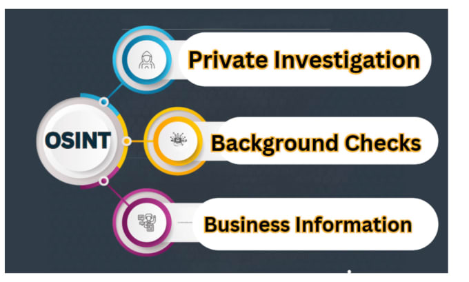 Gig Preview - Be your private investigator, osint detective background check us target person