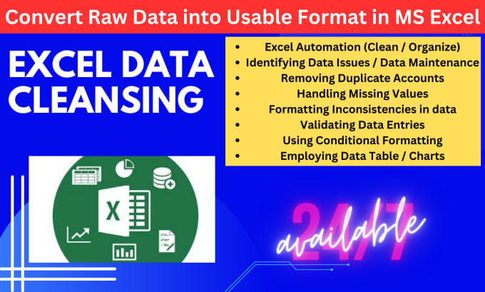 Gig Preview - Efficiently handling the task of scrubbing and cleaning excel data in 24 hrs