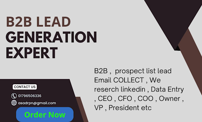 Gig Preview - Do b2b lead generation valid email CEO and linkedin leads