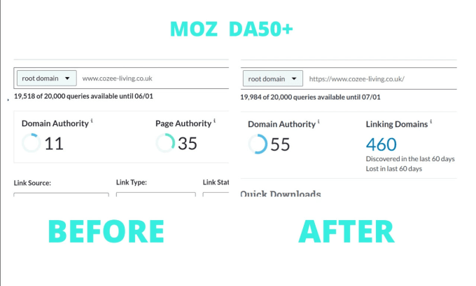 Gig Preview - Increase moz da 30 plus within 14 days permanent