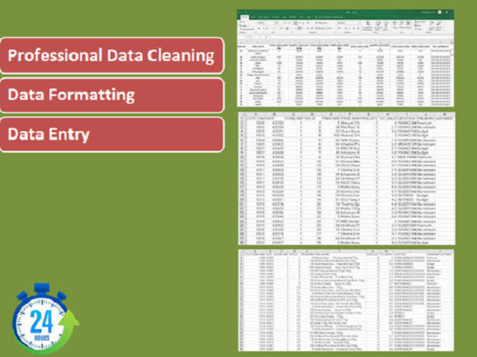 Gig Preview - Do excel data cleaning, data entry, formatting in 24 hours