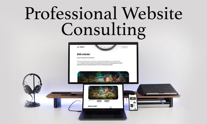 Gig Preview - Give professional website consulting for your business