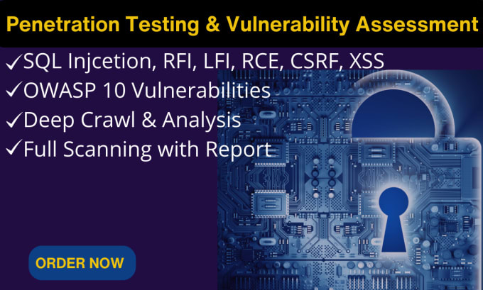 Gig Preview - Do penetration testing on your website and provide detailed penetration test