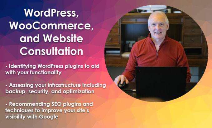 Gig Preview - Consult with you about any wordpress, business, or website issue