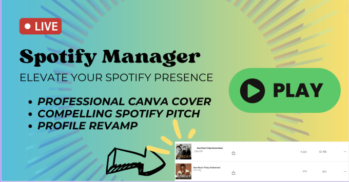 Gig Preview - Be your spotify manager for stunning visuals and compelling pitch creation