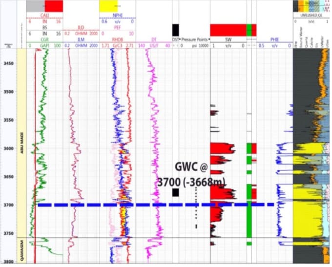 Gig Preview - Do petrophysical and well logs data interpretation