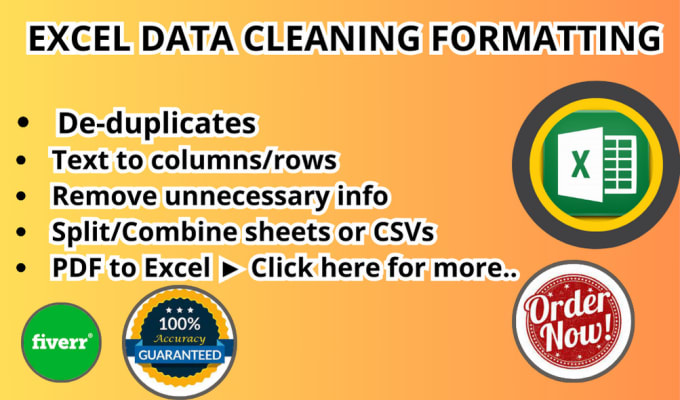 Gig Preview - Do clean and format excel data