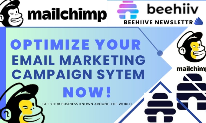 Gig Preview - Do beehiiv newsletter landing page design mailchimp newsletter virtual assistant