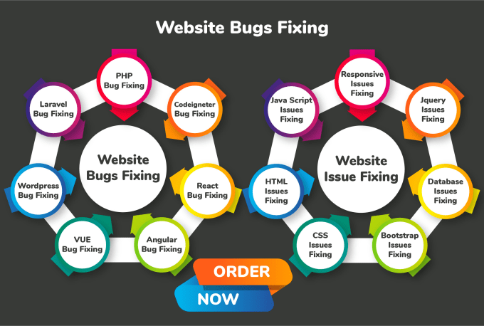 Gig Preview - Fix bugs or issues of your website