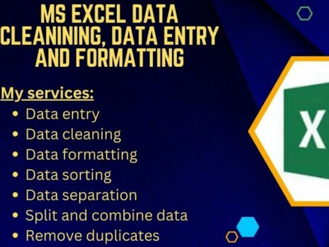 Gig Preview - Do excel assignments, data entry, copy paste, formatting, cleansing and manage