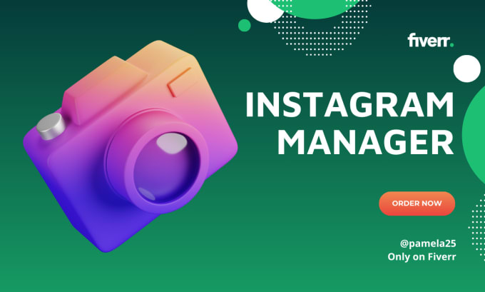 Gig Preview - Be your instagram content creator