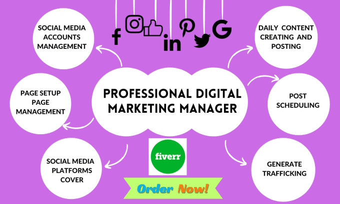 Gig Preview - Be your expert social media manager and personal assistant