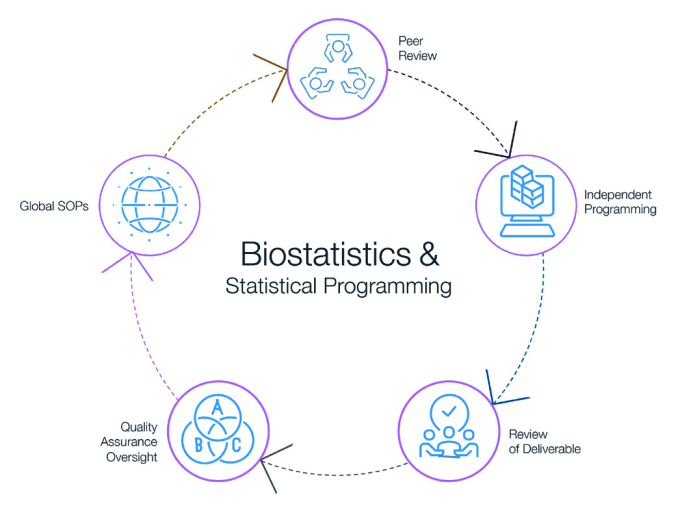 Gig Preview - Help with biostatistics analysis using excel spss, r studio