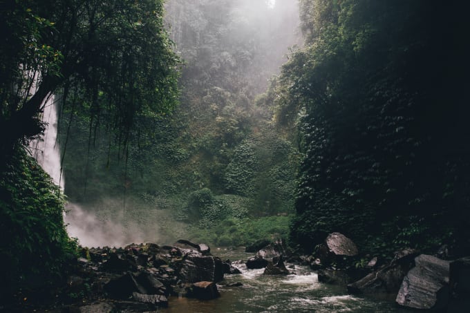 Gig Preview - Make meditation ambience cozy rain video with nature sounds