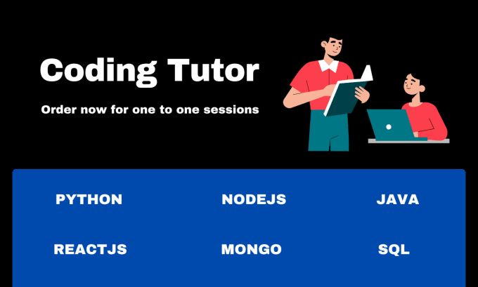 Gig Preview - Teach you python nodejs react databases sql mongo