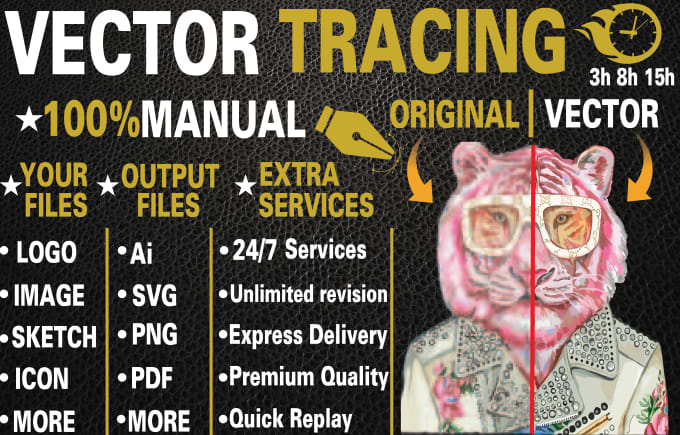 Gig Preview - Do vector tracing ,redraw ,recreate ,vectorize image or logo professionally