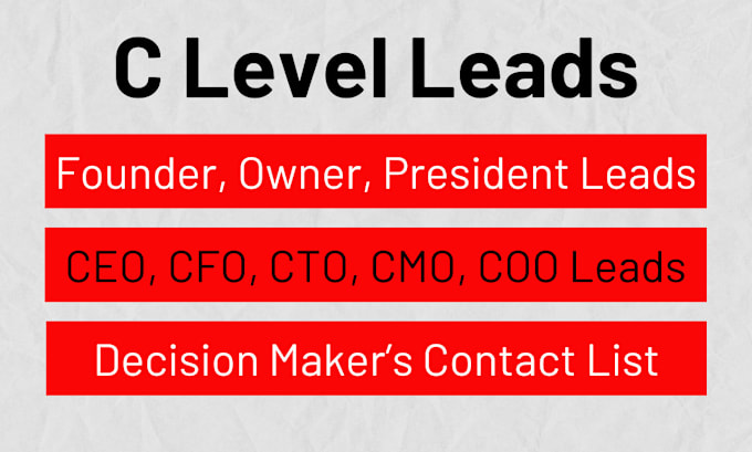 Gig Preview - Do founder, ceo, cfo, owner, c level contact list building