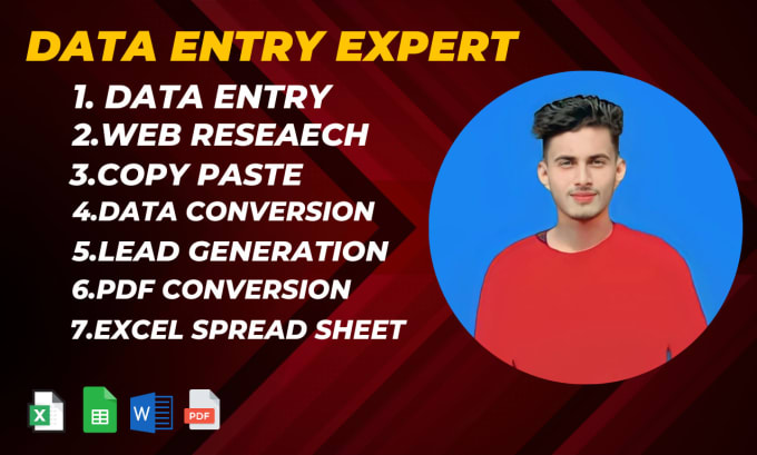 Gig Preview - Do data entry, copy paste, excel data entry, convert PDF, web research