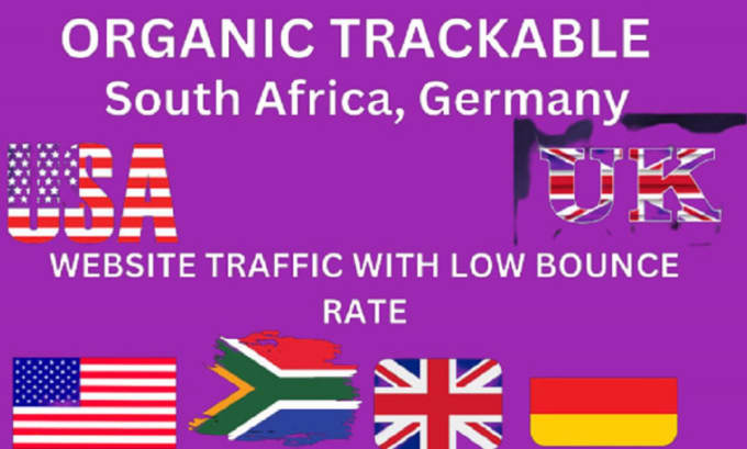 Gig Preview - Do organic USA,japan website traffic to increase sales