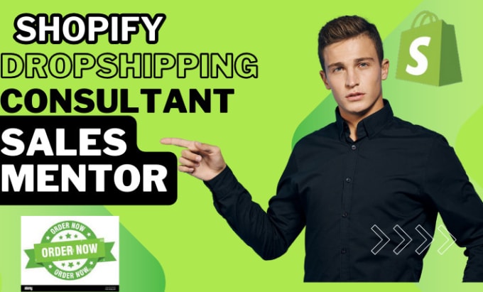 Gig Preview - Be your shopify dropshipping consultant, sales mentor, shopify manager