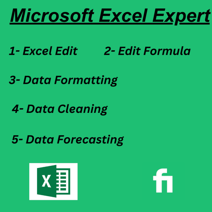 Gig Preview - Edit organize excel data, format, formula automation project