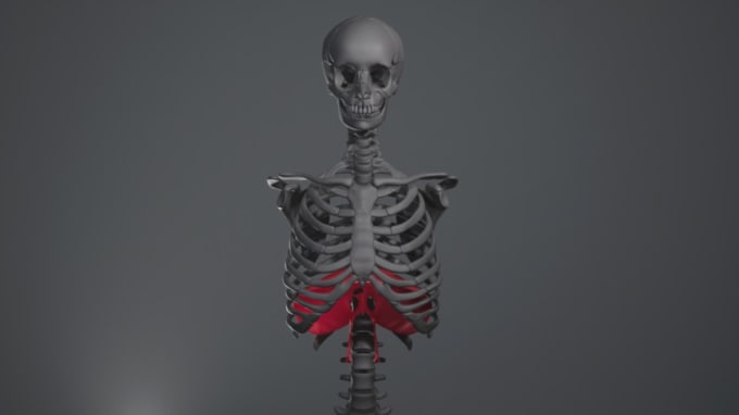 Gig Preview - Create 3d medical animation, 3d anatomy animation, 3d medical explainer video,