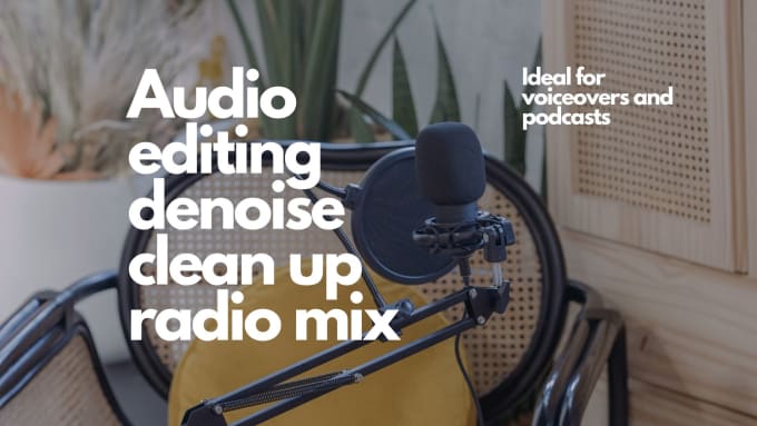 Gig Preview - Do voice cleanup, restoration, denoise and professional editing