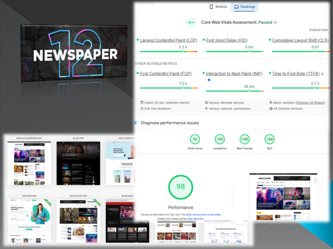 Gig Preview - Do newspaper and newsmag speed optimization