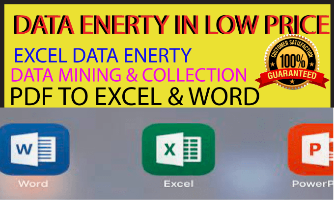 Gig Preview - Do perfect offline and online data entry, excel work in low price