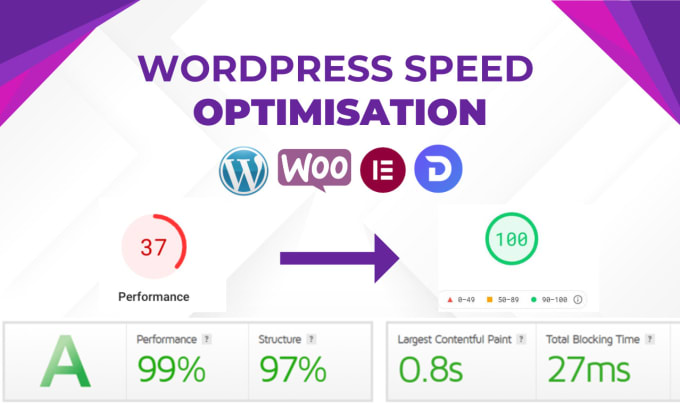 Gig Preview - Do wordpress speed optimization for google page speed insights