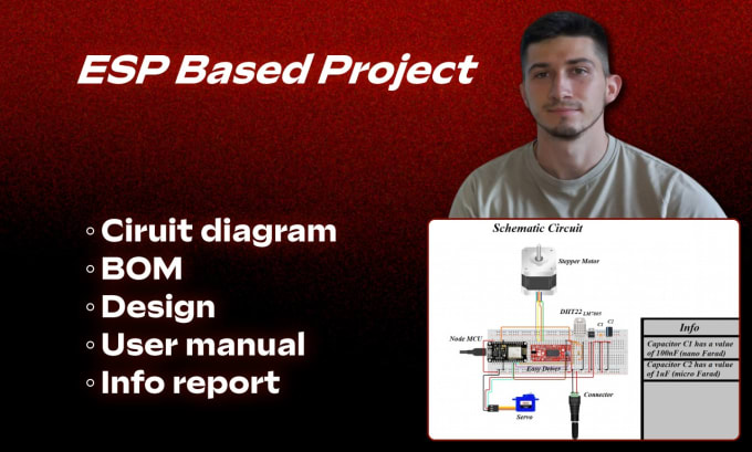 Gig Preview - Do schematic circuit on esp based project