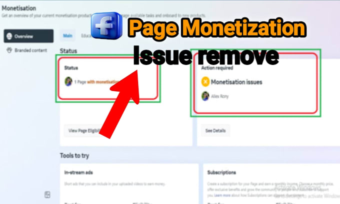 Gig Preview - Solve facebook page monetization problem within 30 minutes