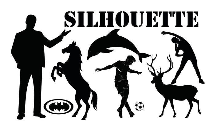 Gig Preview - Draw silhouette vector illustration, stencil and detailed line art of your image