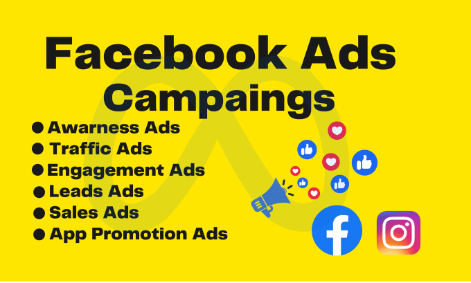 Gig Preview - Create and manage your facebook and instagram ads campaign