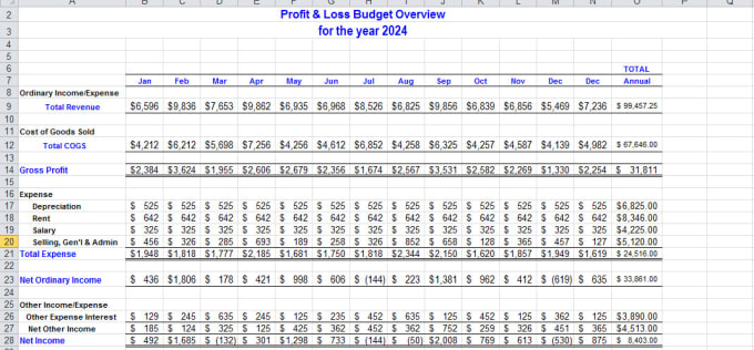 Gig Preview - Perform investor attractive financial modeling, projection