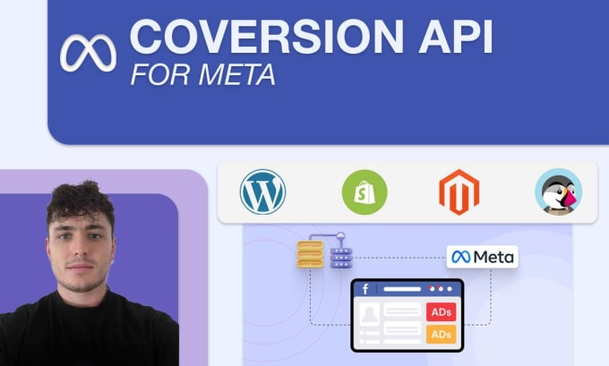 Gig Preview - Setup or fix meta conversion API and pixel for meta ads