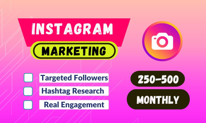 Gig Preview - Be your best instagram organic marketing specialist