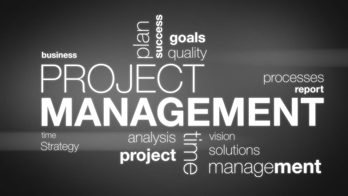 Gig Preview - Do project and construction management tasks, case studies