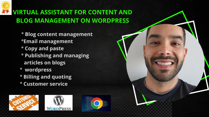 Gig Preview - Do managing websites and blogs with wordpress