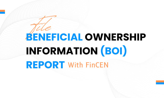 Gig Preview - File boi report with fincen for your US llc