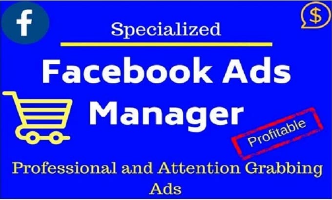 Gig Preview - Be your facebook ads manager